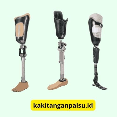 Kaki Palsu