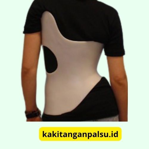 Penyangga Tulang Belakang