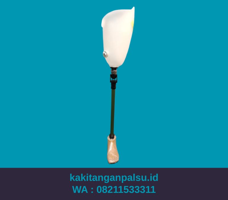 Tempat Jual Kaki Palsu Padang